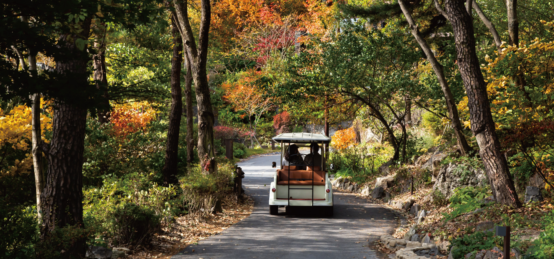 ���۹�� īƮŽ��