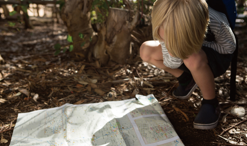 ������ �̹���