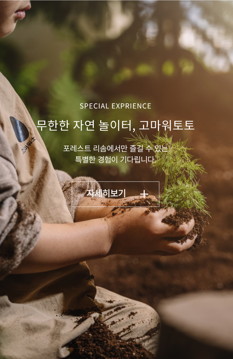 Forest Resom - Image 5