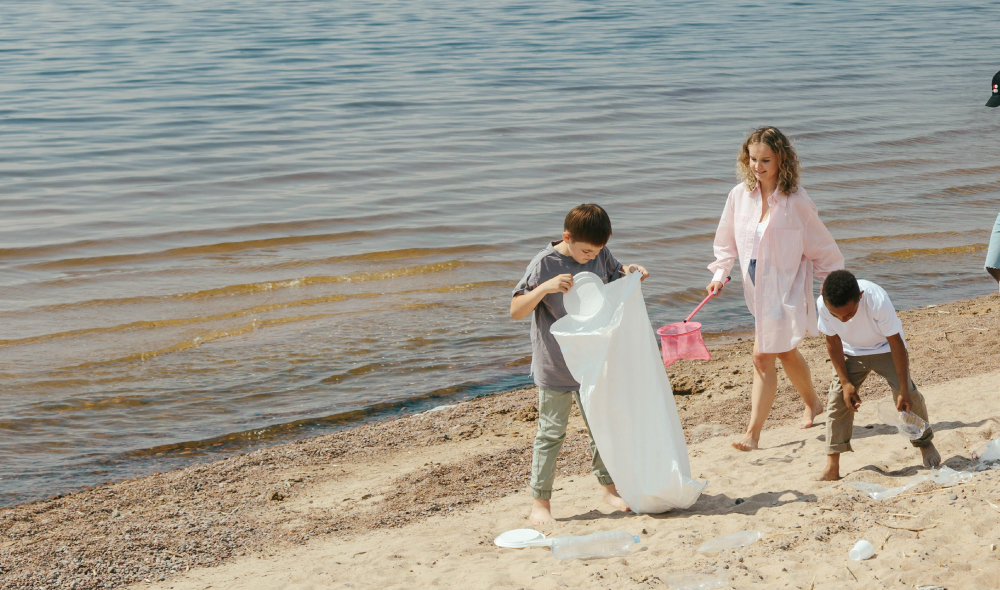 ������ �̹���